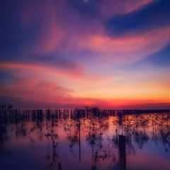 Софья Курас, 01.02, Иркутск