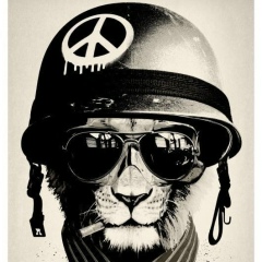 Алексей Гусев, 25.09.1985, Санкт-Петербург