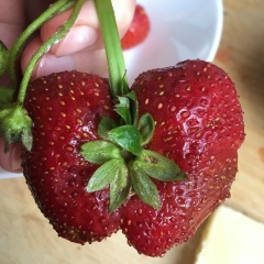 Светлана Федотова, 01.04, Нарьян-Мар