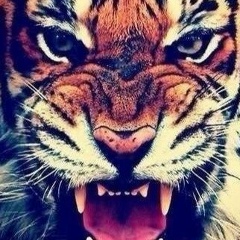 Мади Марат, 01.06.1974, Шымкент