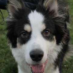 Анна Александрова, 07.03, Москва