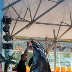 Миха Андрух, 24.10, Джубга