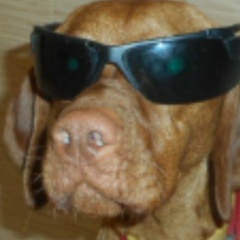 Ирина К, Новосибирск