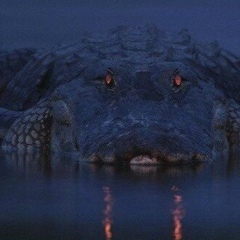 Sergey Mikhalev, Москва