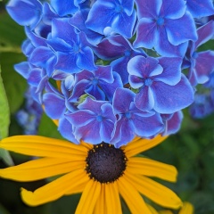 Tata Vata, 07.12, Москва