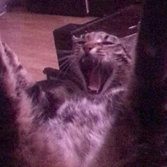 Димка Хартанович, 15.07.1986, Москва