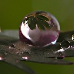 Мадина Оздоева, 11.06.1988, Назрань