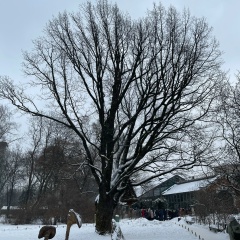 Артем Котомин, 25.09.1977, Нижний Новгород