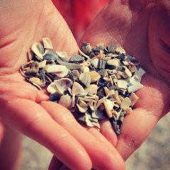 Юлия Кузнецова, 23.07, Санкт-Петербург