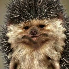 Евгений Янченюк, 14.10.1992, Шымкент