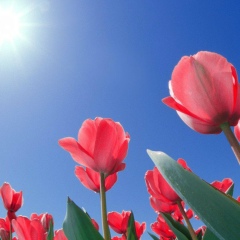 Залина Спаньоло, 09.03