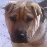 Юля Фалат, 29.09, Bergen