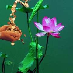 Myo Sein, 06.05.1961, Manama