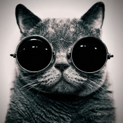 Валерий Щеглов, Павлодар