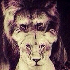 Артем Нестеров, 19.04.1989, Ишим