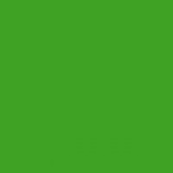 Зеленый Квадратик, 08.05.1982, Ковров