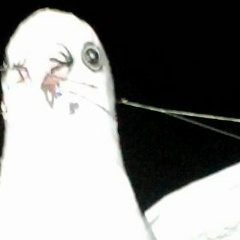 ​ေက်ာ္​သူ ဦး, 07.03.1976