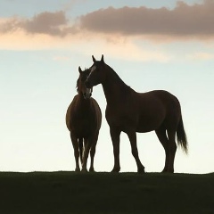 Диана Ботоян