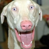 Владислав Анисимов, 01.09, Челябинск