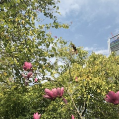 Aliya Yamaletdinova, 08.12, Hong Kong