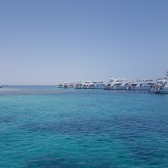 Алена Илина, 01.02.2005