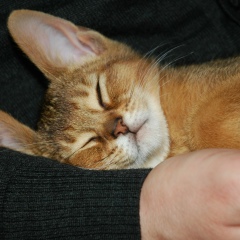 Ольга Ольгина, Москва