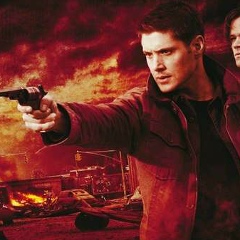 Шахтер Чемпион, 18.11, Донецк