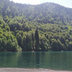 Оля Даниловская, 08.12