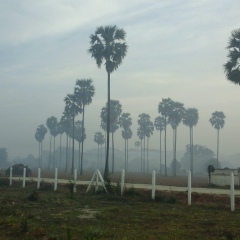 Nyein-Chan Htet, 19.06.1979