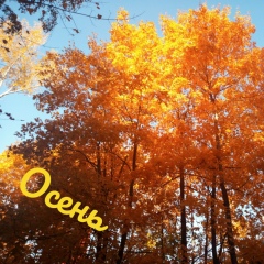 Ибрагим Абдурахимов, 22.03.1968, Чуст