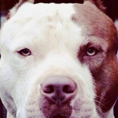 Димаш Байтукаев, 19.10.1993, Алматы