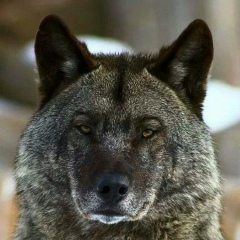 Iliyas Slambekov, Конаев / Капшагай