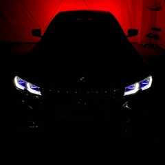 Aleksandr Anikin, Санкт-Петербург