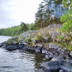 Геннадий Ладырда