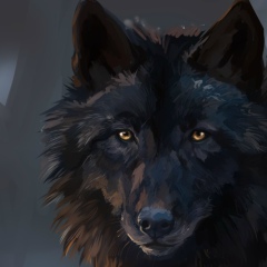 Олег Игнатьев, 12.01