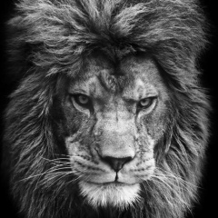 Jahongir Madiev, 12.05, Алматы