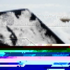 Саша Царёв, 14.08