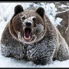 Евгений Медведев, 09.08.1985, Алматы