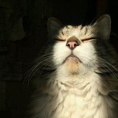 Сергей Докшин, 17.09.1988, Кингисепп