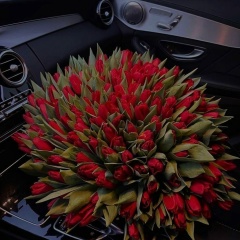 Пи Сариева, 13.05.1997