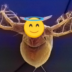 Владимир Чугунов, 01.11.1981, Борок