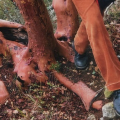 Евгений Горовой, 18.03, Санкт-Петербург