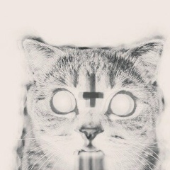 Август Лис, Киев