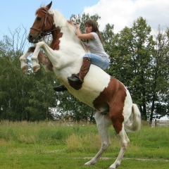 Светлана , 10.05.1993, Москва