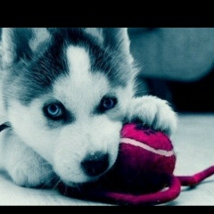 Бактыгуль Айсина, 08.03.1994, Атырау