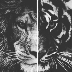 Фарух Рузиев, 26.07, Алматы