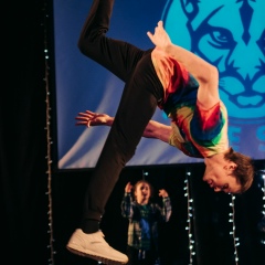 Лев Материал