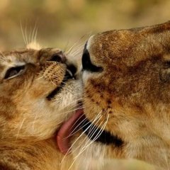 Андрей Стынгач, 31.07.1992, Кишинев