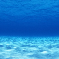 Елизавета Сидорова, Москва