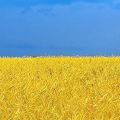 Константин Савельев, 01.03.1977, Киев